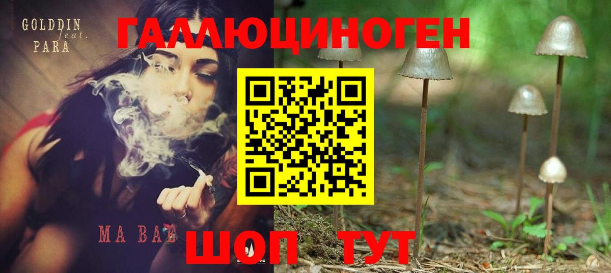 Тихвин  Галлюциногенные грибы MAGIC MUSHROOMS  Псилоцибиновые грибы ЛСД  Вход с VPN 