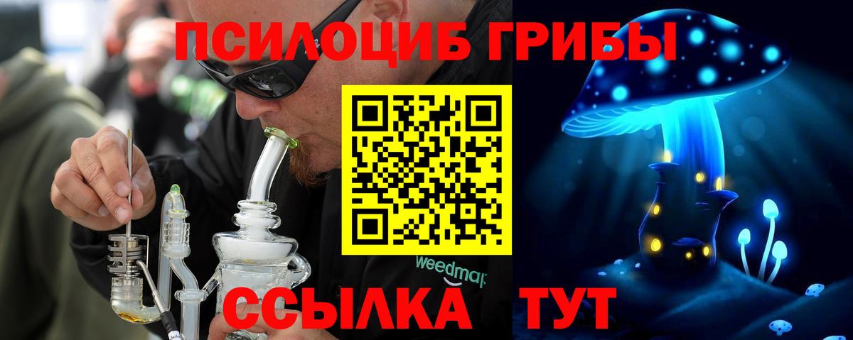 Псилоцибиновые грибы мицелий Тихвин